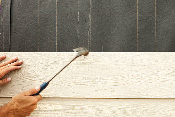 Best Siding Maintenance  in Grafton, WV